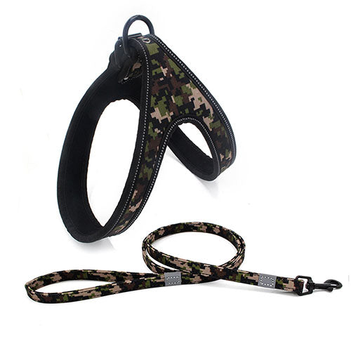 Why You Need the Colorful Dog Leash for Your Furry Friend