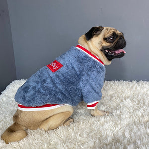 The Ultimate Pet Sweater for Cozy Adventures