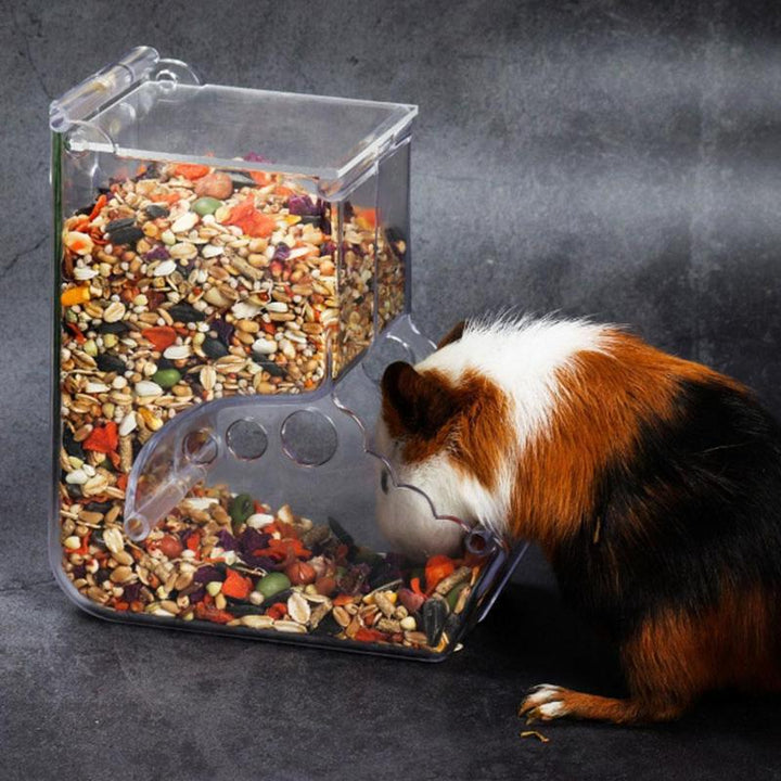 Enhance Your Hamster's Feeding Experience