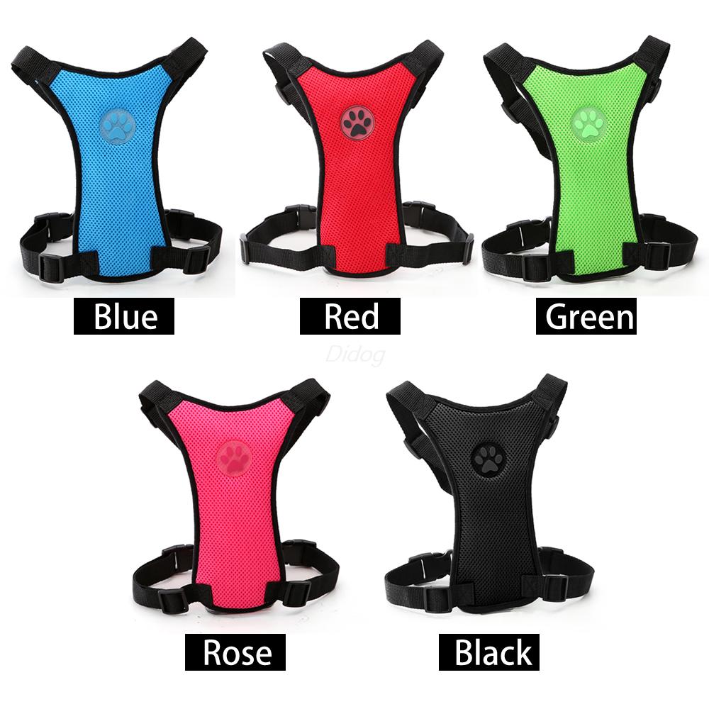 The Ultimate Safety Solution for Your Dog on Car Rides