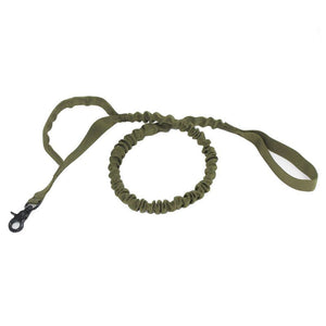 Why You Need the Elastic Buffer Of Outdoor Pet Traction Rope