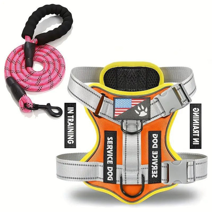 The Ultimate Solution for Comfortable Dog Walks