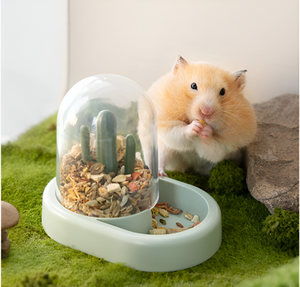 Choosing the Best Feeding Supplies
