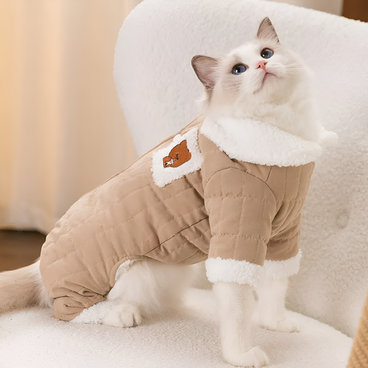 Essential Accessories Every Pet Needs for Daily Comfort