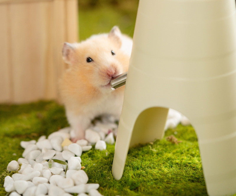 Hydration Made Easy: The Hamster Water Bottle Drinker Automatic Feeder