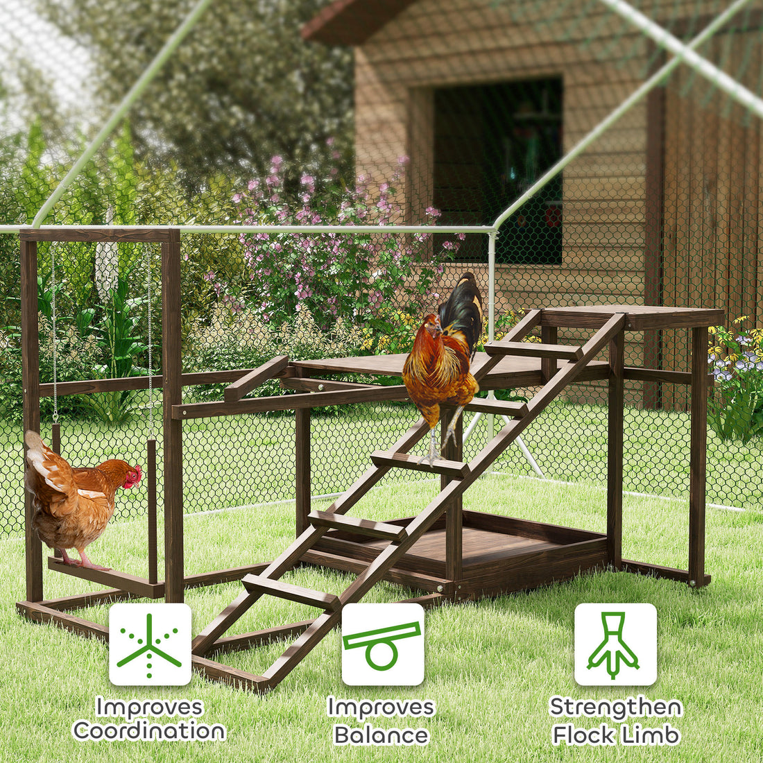 Chicken Activity Play Set with Perch