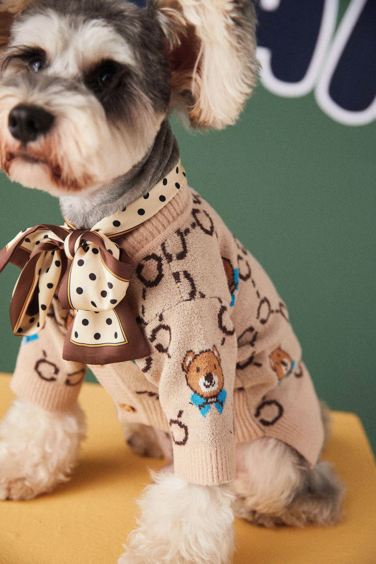 Pet Teddy Schnauzer Pomeranian Sweater
