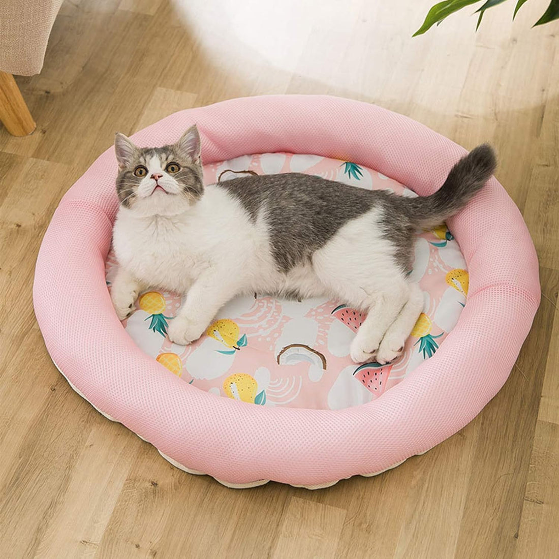 Soft Summer Ice Pet Bed