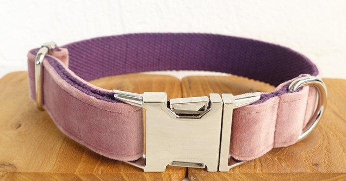 Dog Pet Collar Leash