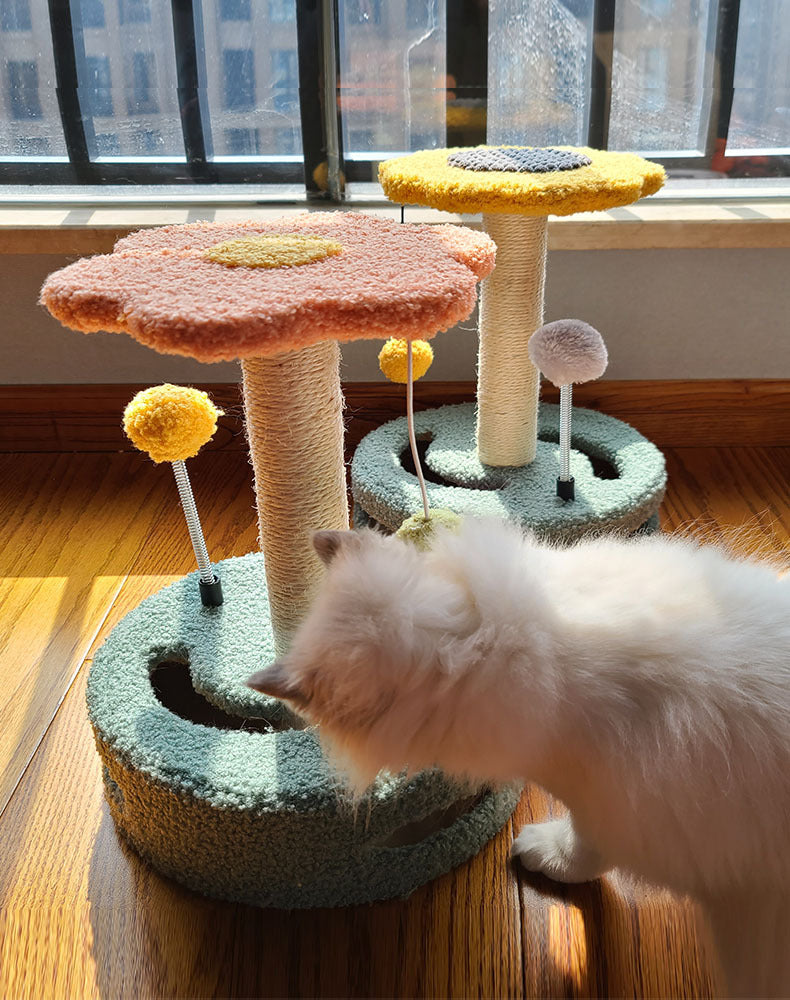 Cat Scratch Board Grinding Toy