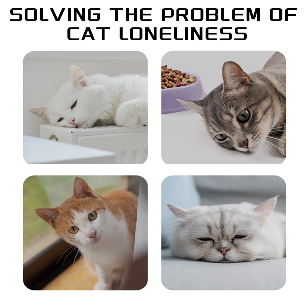 Pet Natural Cotton Rope Dog Toys