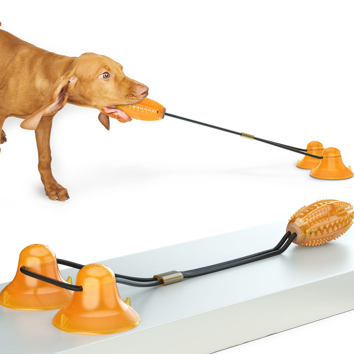Multifunction Molar Bite Toys