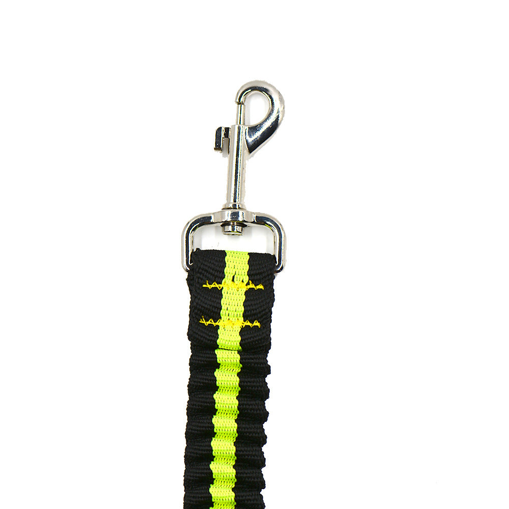 Pet Adjustable One-to-two Nylon Leash