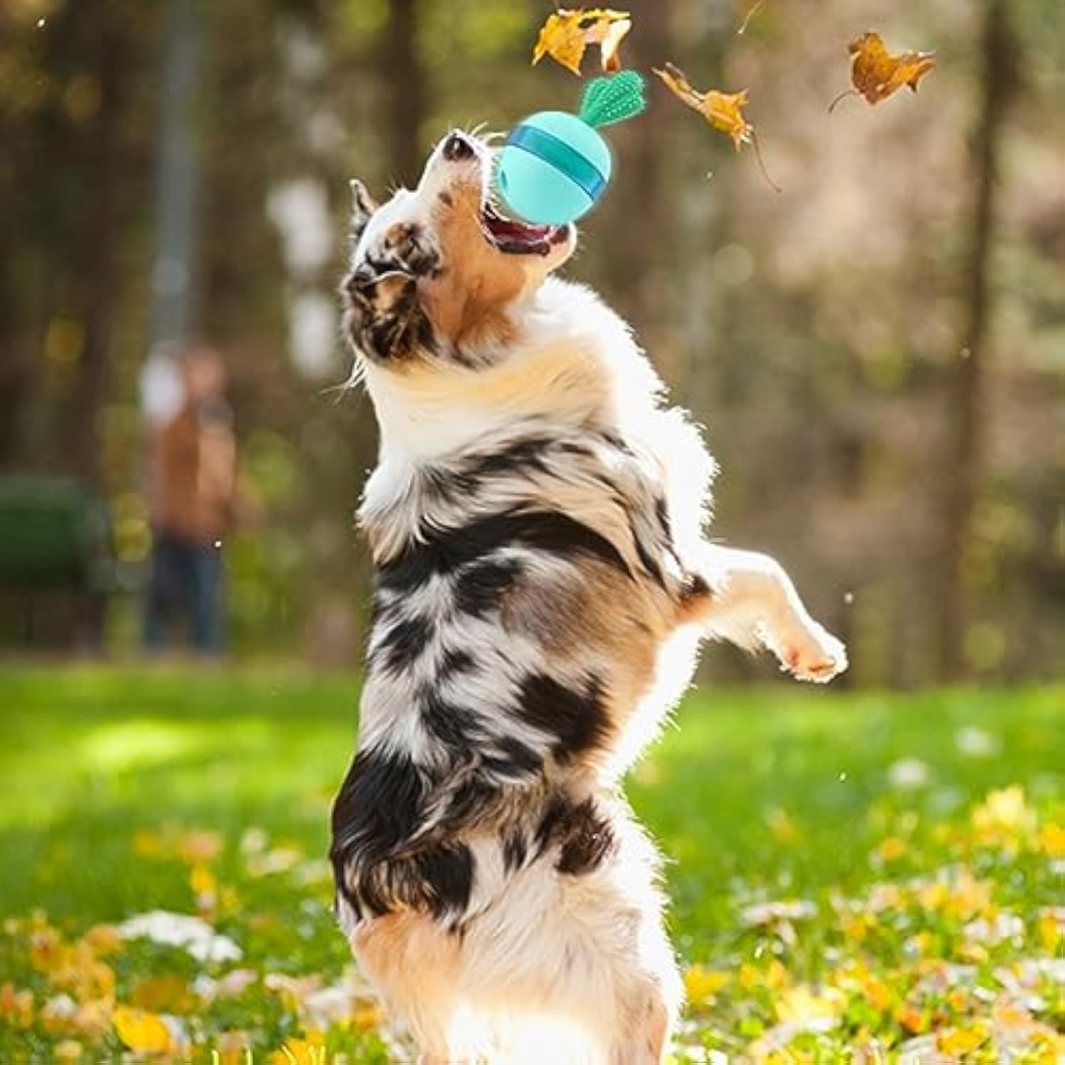 Interactive Treat Dispensing Dog Toy