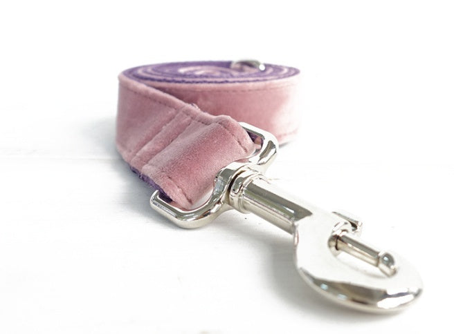Dog Pet Collar Leash