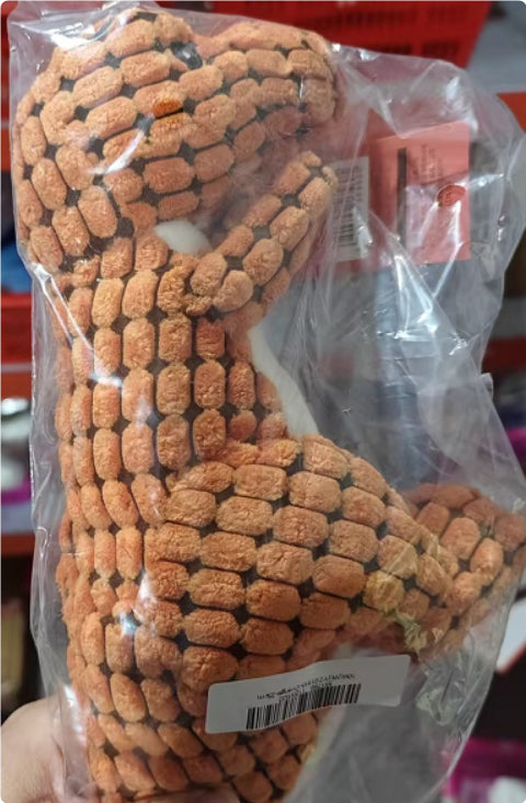 Dinosaur Interactive Dog Chew Toys