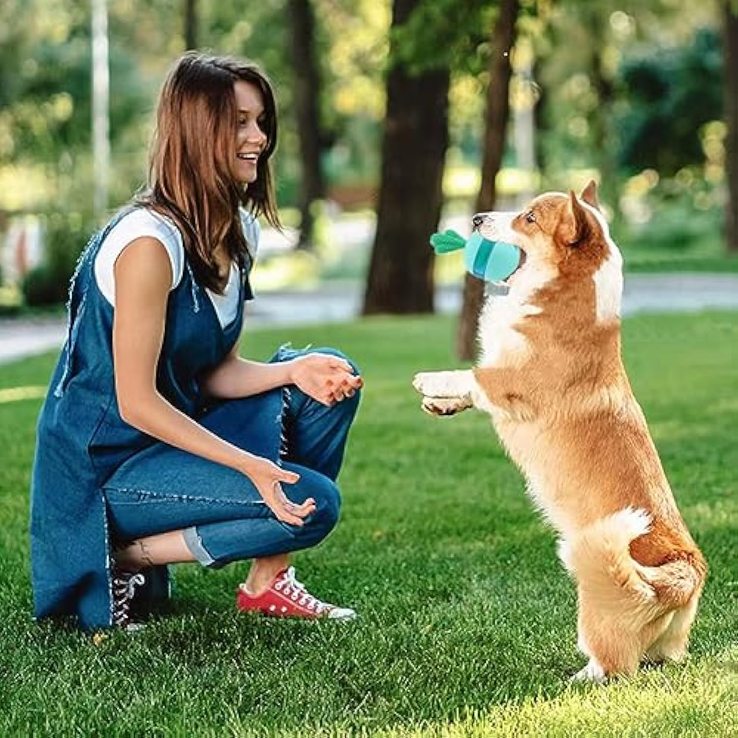 Interactive Treat Dispensing Dog Toy