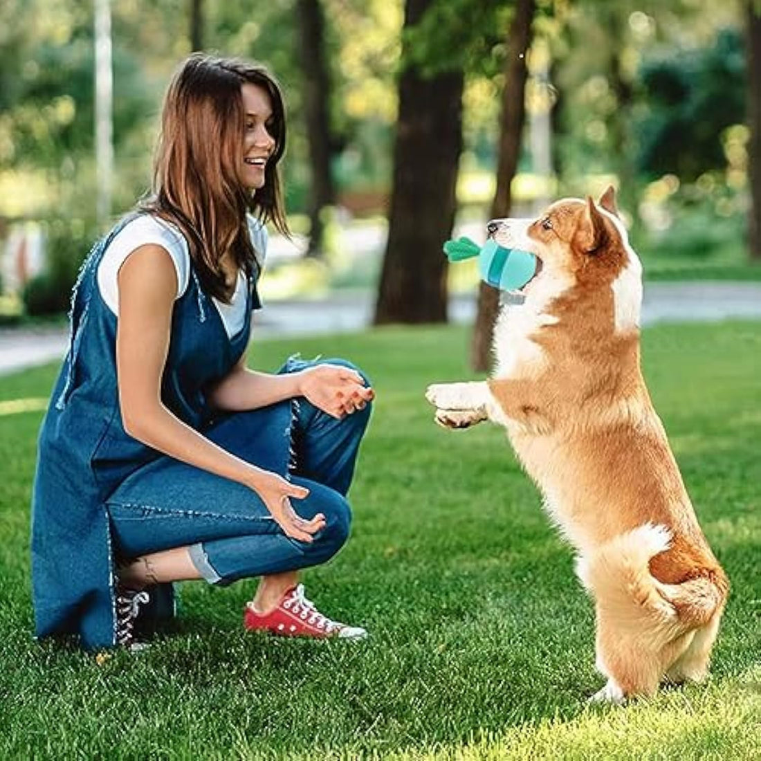 Interactive Treat Dispensing Dog Toy