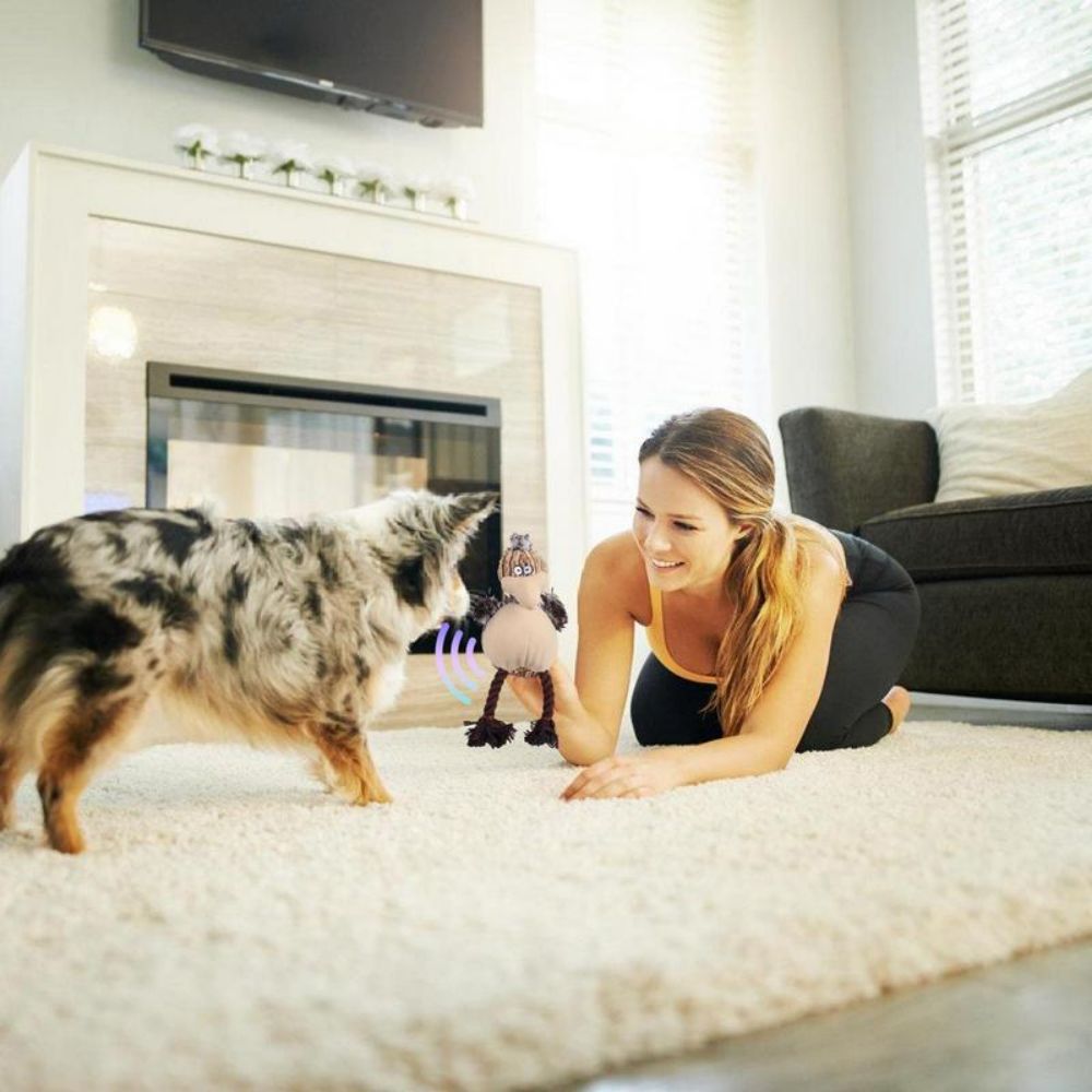 Stuffless Dog Plush Toys For Aggressive Chewers