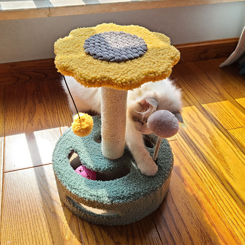 Cat Scratch Board Grinding Toy