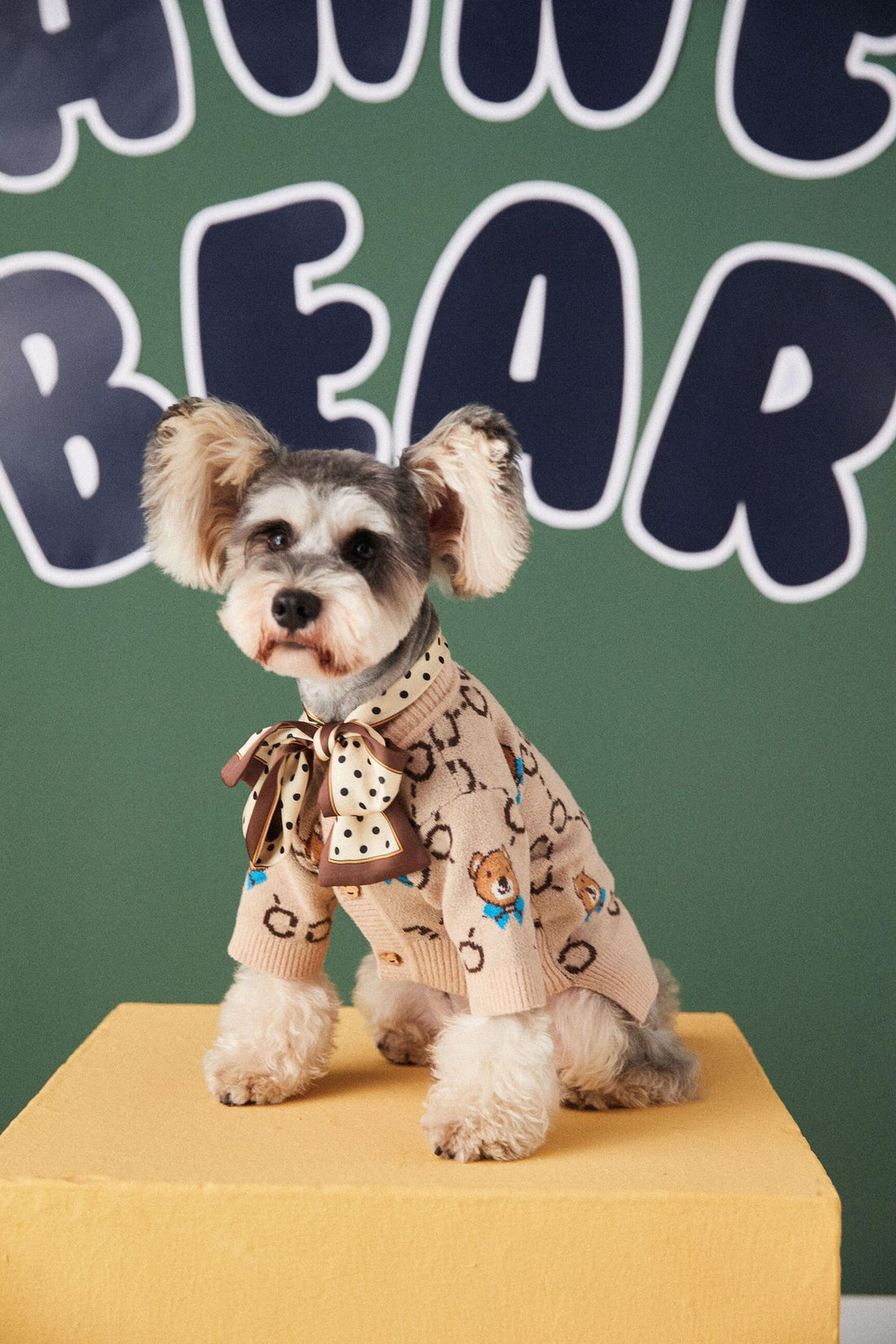 Pet Teddy Schnauzer Pomeranian Sweater