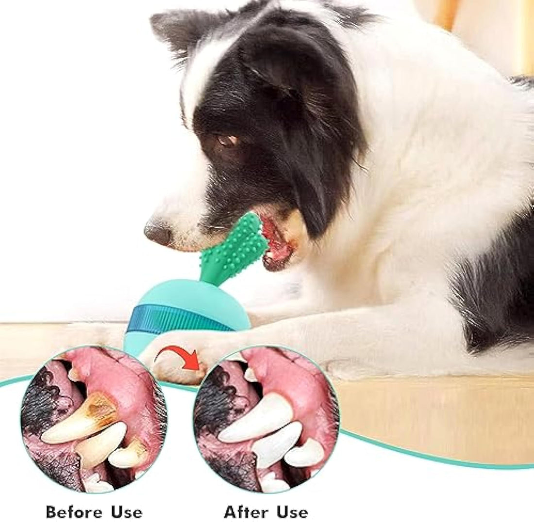 Interactive Treat Dispensing Dog Toy