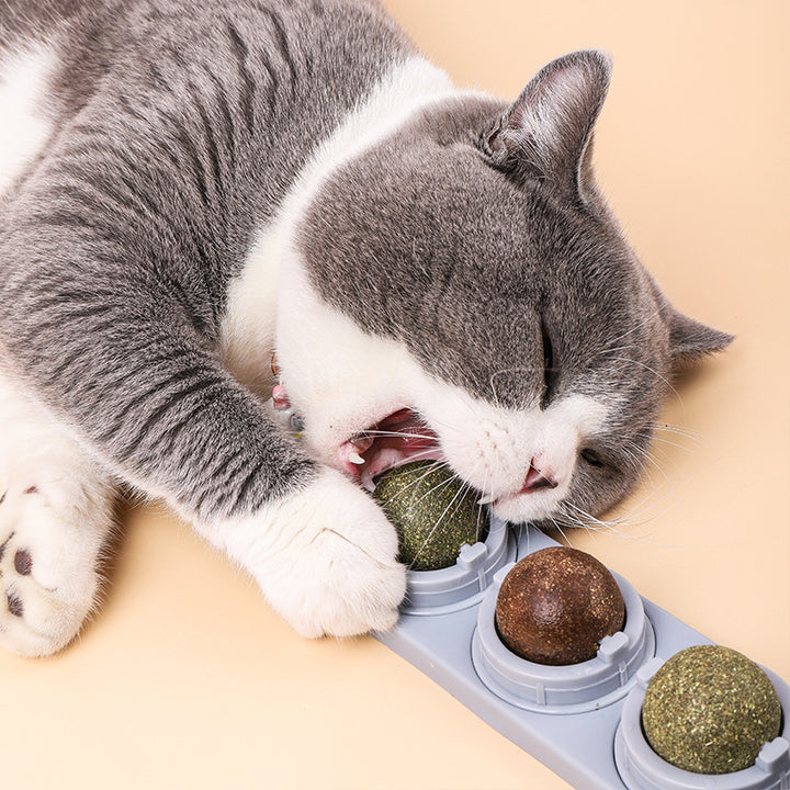 Cat's Molars, Cleaning Teeth, Biting And Digesting Mint Balls