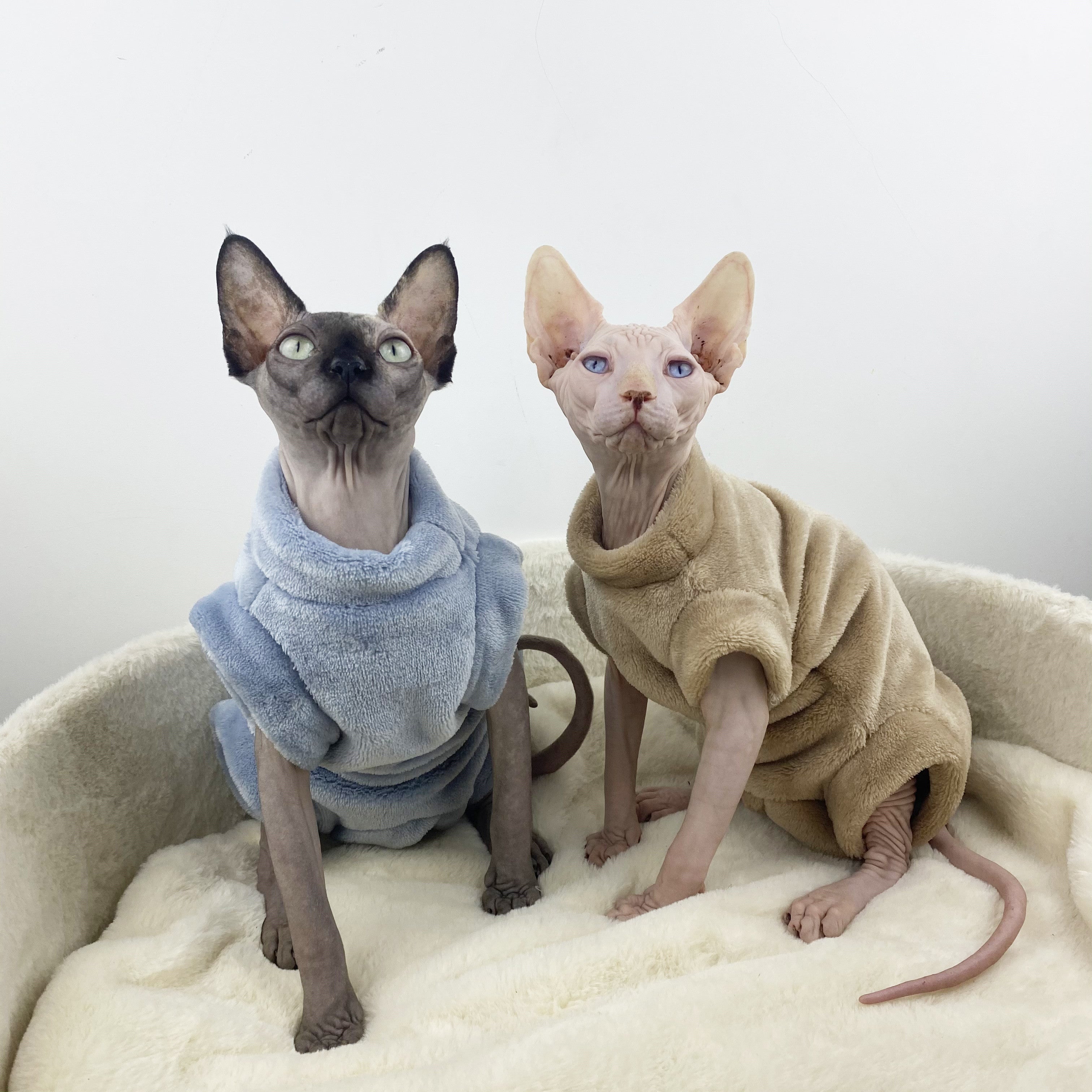 Sphinx Hairless Thermal Four-legged Jacket