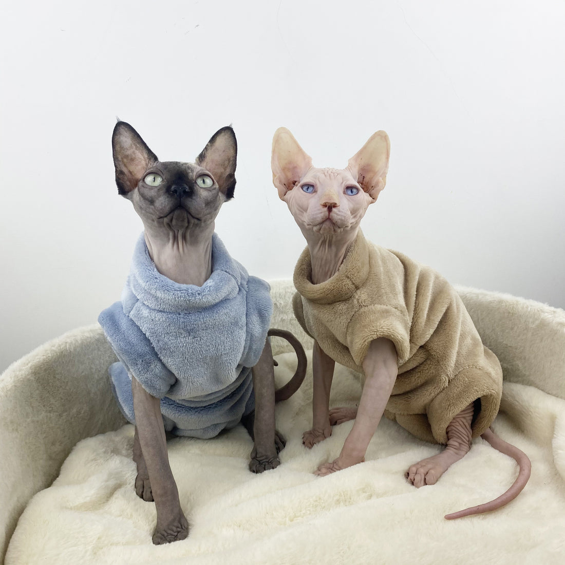 Sphinx Hairless Thermal Four-legged Jacket
