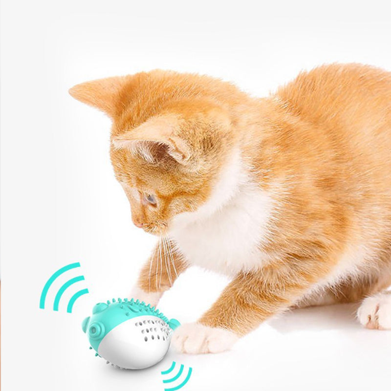 Mini Fish Chew Toy For Pets