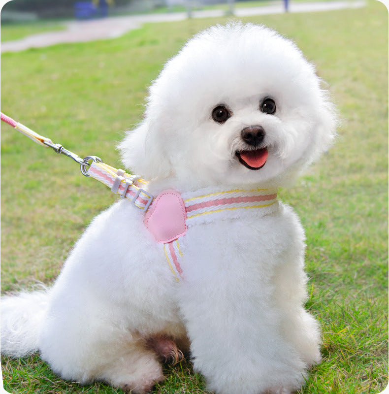 Dog Summer Breathable Walking Dog Leash