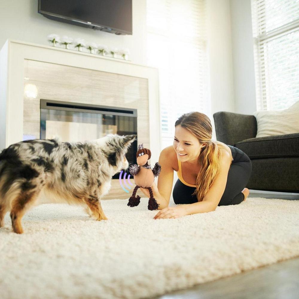 Stuffless Dog Plush Toys For Aggressive Chewers