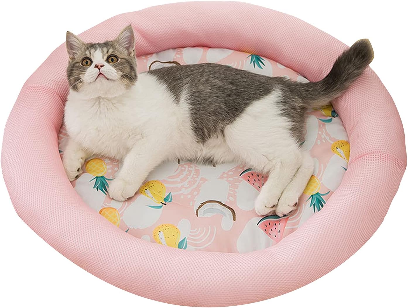Soft Summer Ice Pet Bed