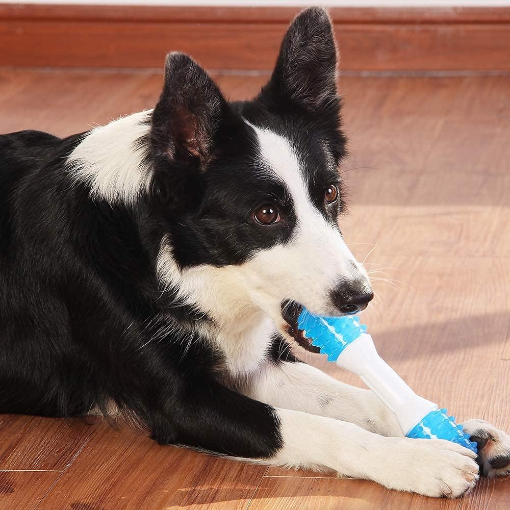 Puppy Teething Chew Toys