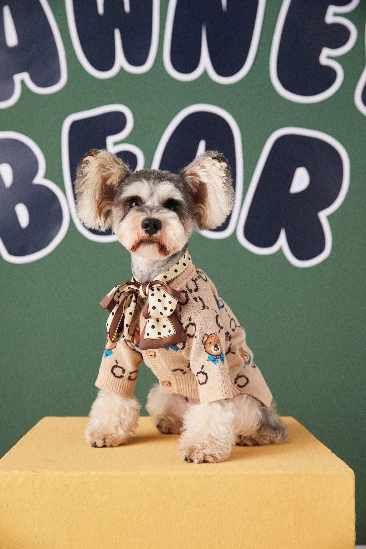 Pet Teddy Schnauzer Pomeranian Sweater