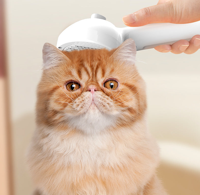 Pet Comb Self Cleaning Brush