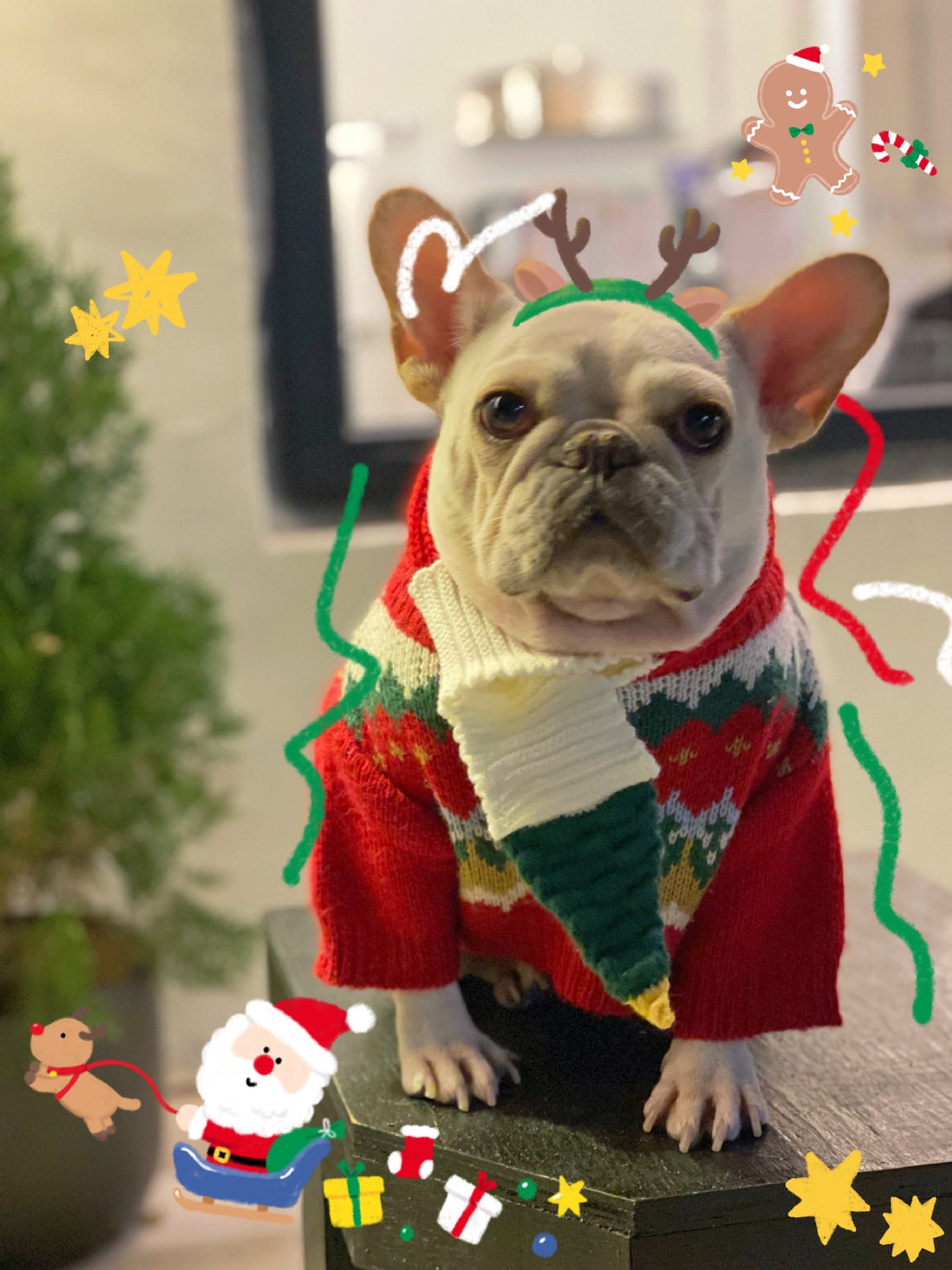 Dog Pet Christmas Sweater