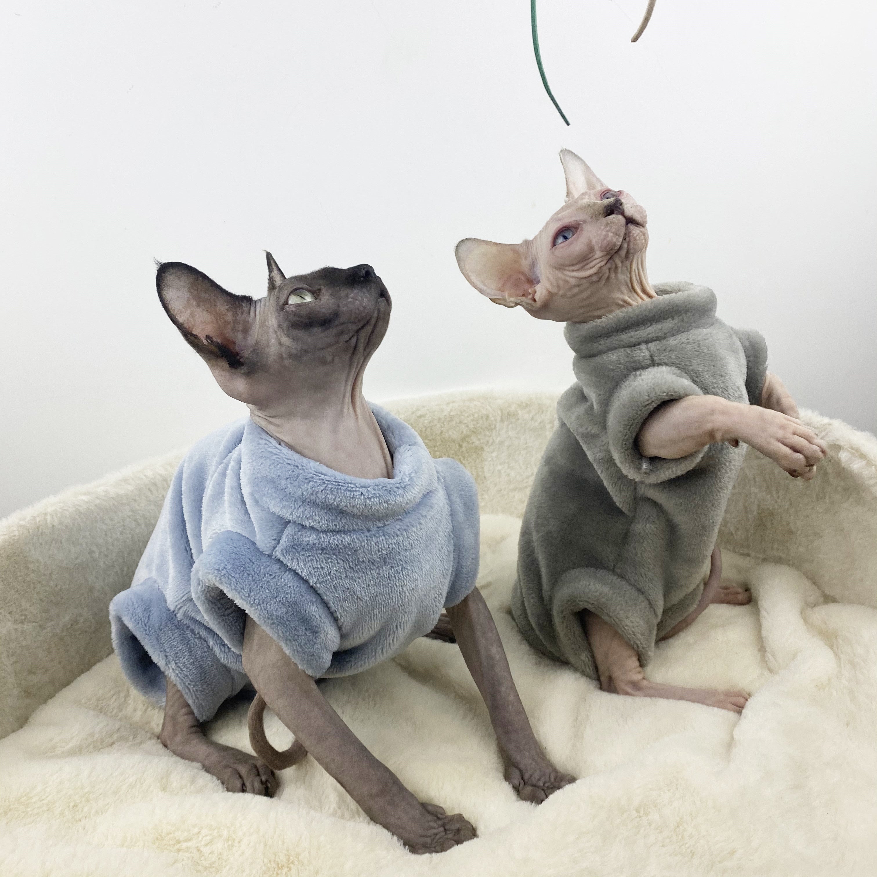 Sphinx Hairless Thermal Four-legged Jacket