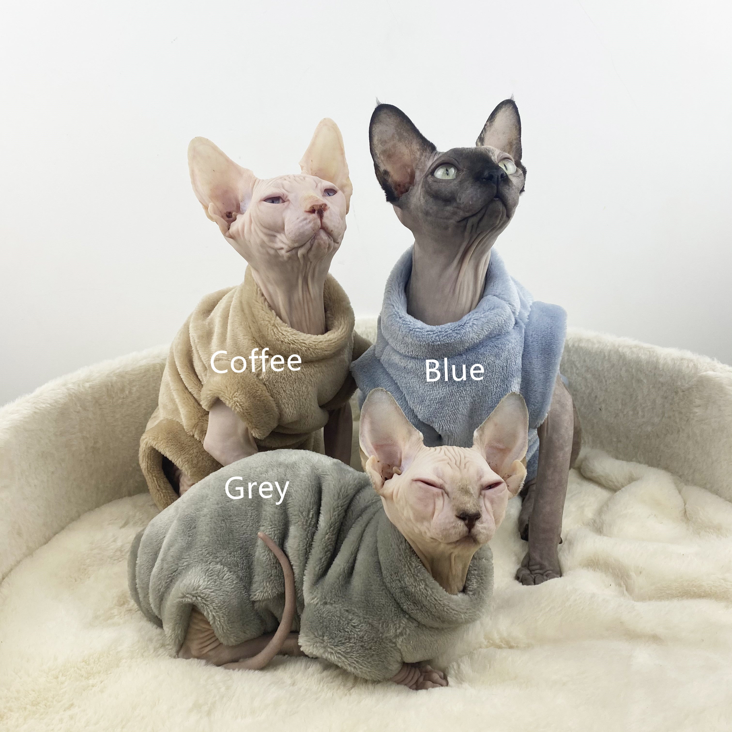 Sphinx Hairless Thermal Four-legged Jacket